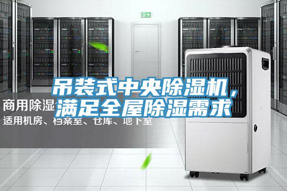 吊裝式中央除濕機(jī)，滿足全屋除濕需求