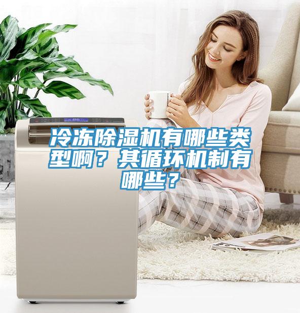 冷凍除濕機有哪些類型??？其循環(huán)機制有哪些？