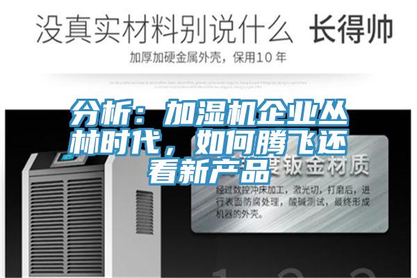 分析：加濕機(jī)企業(yè)叢林時代，如何騰飛還看新產(chǎn)品
