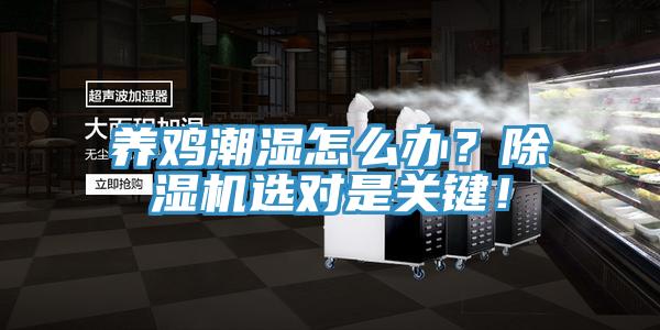 養(yǎng)雞潮濕怎么辦？除濕機(jī)選對(duì)是關(guān)鍵！
