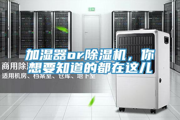 加濕器or除濕機，你想要知道的都在這兒