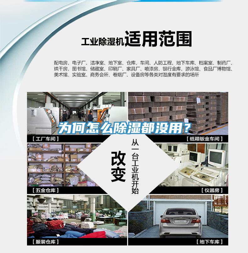 為何怎么除濕都沒用？