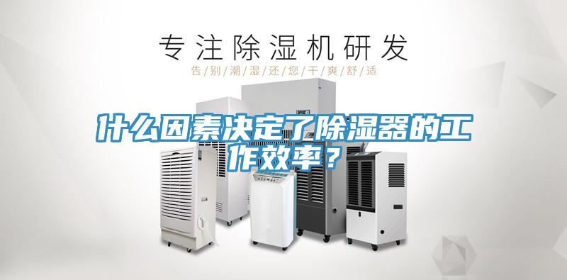 什么因素決定了除濕器的工作效率？