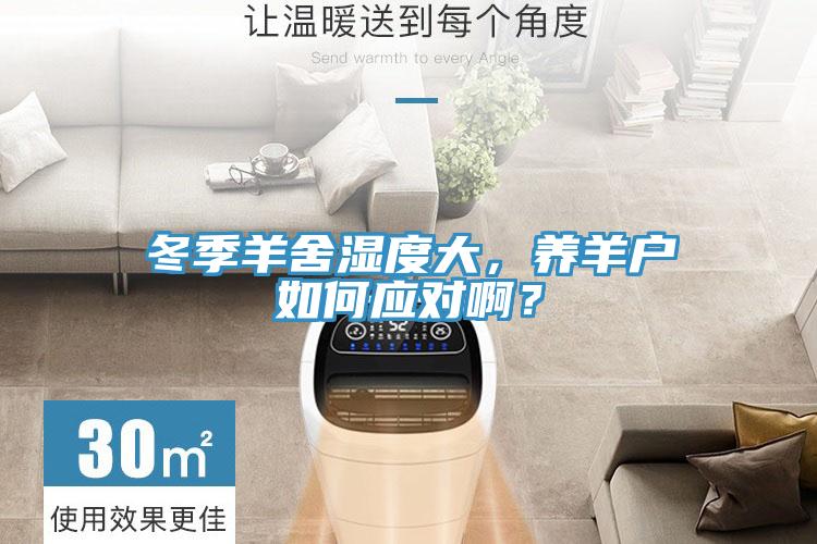 冬季羊舍濕度大，養(yǎng)羊戶如何應(yīng)對啊？