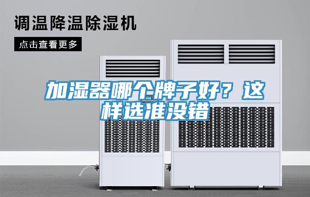 加濕器哪個(gè)牌子好？這樣選準(zhǔn)沒(méi)錯(cuò)