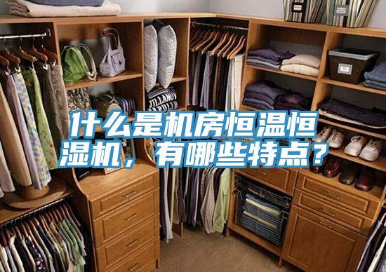 什么是機(jī)房恒溫恒濕機(jī)，有哪些特點(diǎn)？