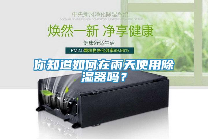 你知道如何在雨天使用除濕器嗎？