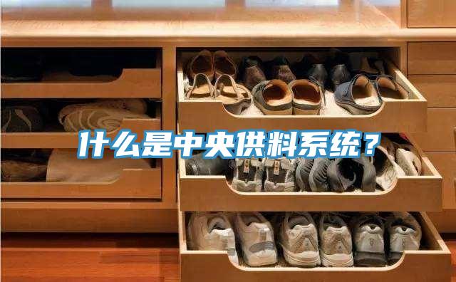 什么是中央供料系統(tǒng)？