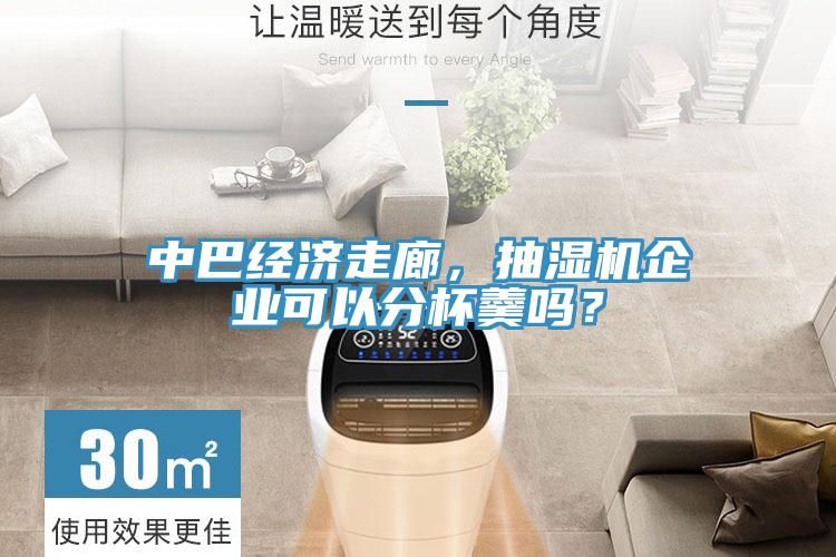 中巴經(jīng)濟(jì)走廊，抽濕機(jī)企業(yè)可以分杯羹嗎？