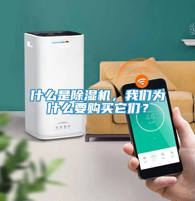什么是除濕機(jī)，我們?yōu)槭裁匆徺I它們？
