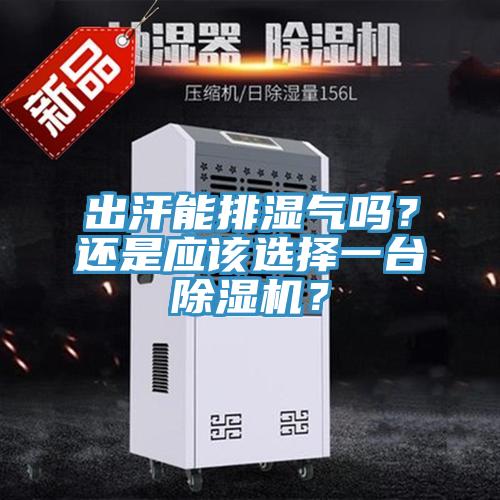 出汗能排濕氣嗎？還是應(yīng)該選擇一臺除濕機(jī)？