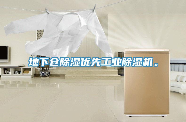 地下倉除濕優(yōu)先工業(yè)除濕機(jī)。