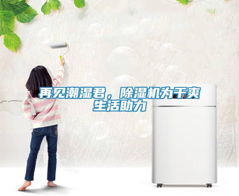 再見潮濕君，除濕機為干爽生活助力