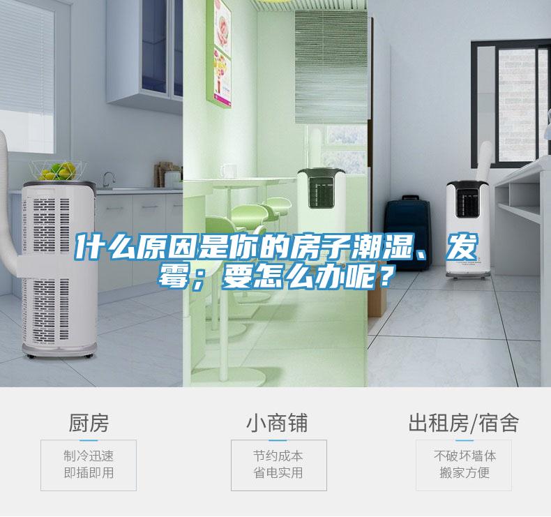 什么原因是你的房子潮濕、發(fā)霉；要怎么辦呢？