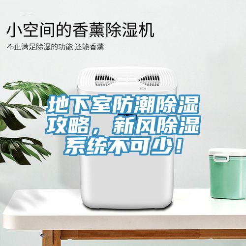 地下室防潮除濕攻略，新風(fēng)除濕系統(tǒng)不可少！