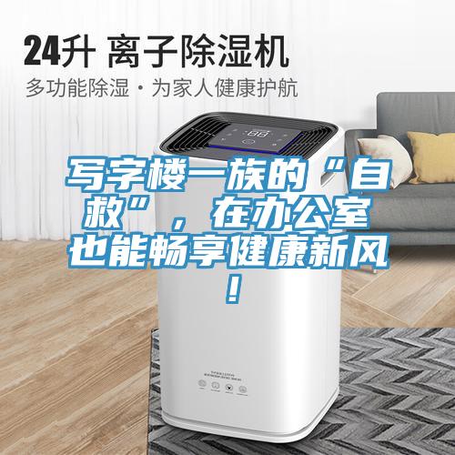 寫字樓一族的“自救”，在辦公室也能暢享健康新風(fēng)！