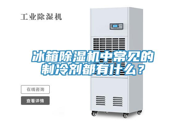冰箱除濕機中常見的制冷劑都有什么？