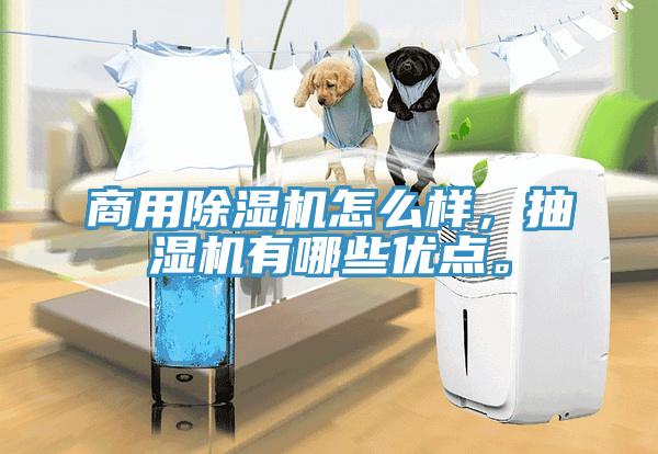 商用除濕機怎么樣，抽濕機有哪些優(yōu)點。