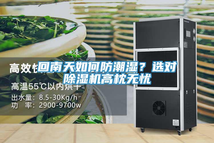 回南天如何防潮濕？選對除濕機高枕無憂