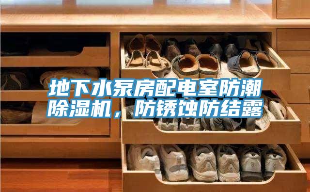 地下水泵房配電室防潮除濕機，防銹蝕防結(jié)露
