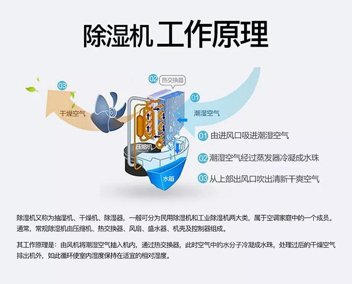 南方濕冷會(huì)致病你知道嗎？