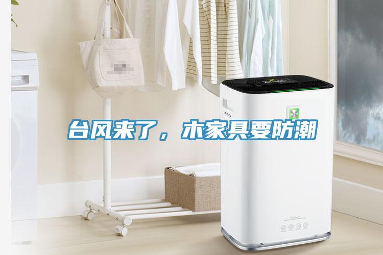 臺風(fēng)來了，木家具要防潮