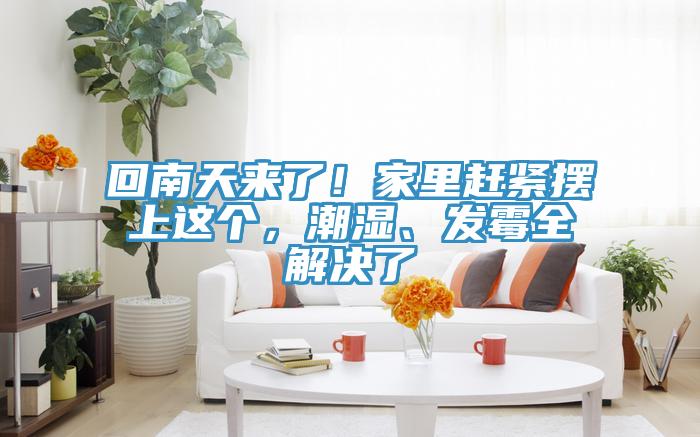 回南天來了！家里趕緊擺上這個，潮濕、發(fā)霉全解決了