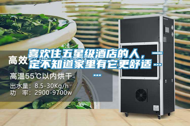 喜歡住五星級(jí)酒店的人，一定不知道家里有它更舒適……