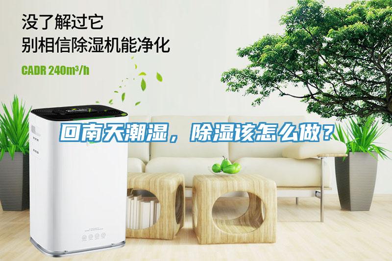 回南天潮濕，除濕該怎么做？