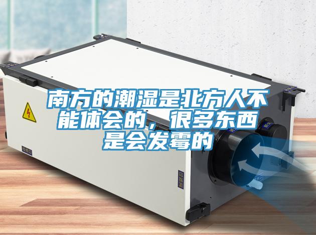 南方的潮濕是北方人不能體會的，很多東西是會發(fā)霉的