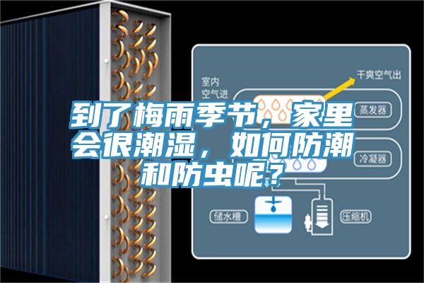 到了梅雨季節(jié)，家里會(huì)很潮濕，如何防潮和防蟲呢？