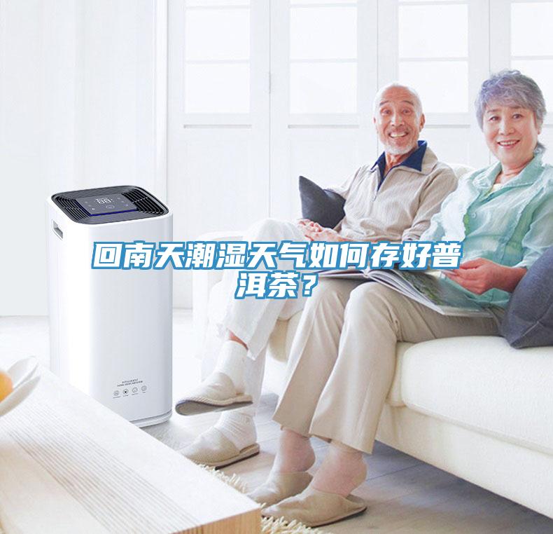 回南天潮濕天氣如何存好普洱茶？