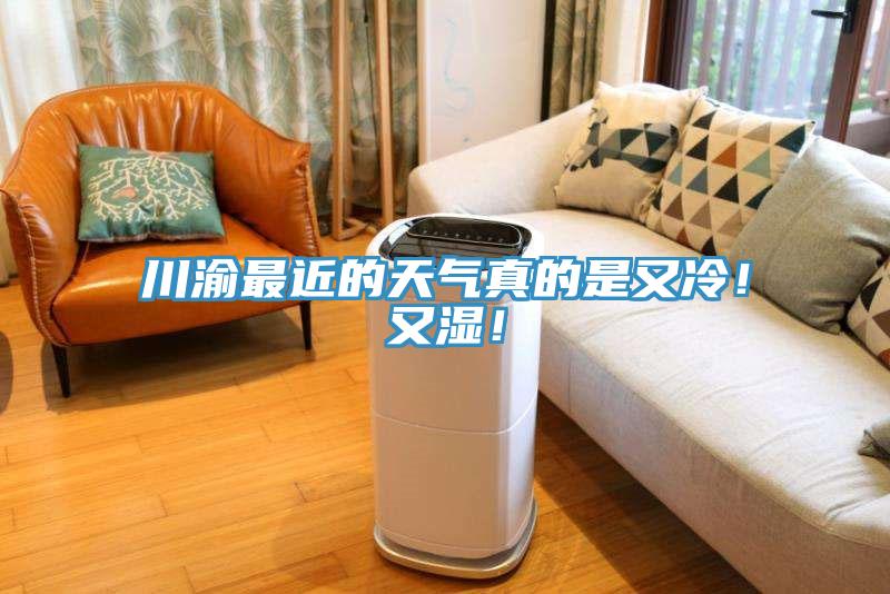 川渝最近的天氣真的是又冷！又濕！