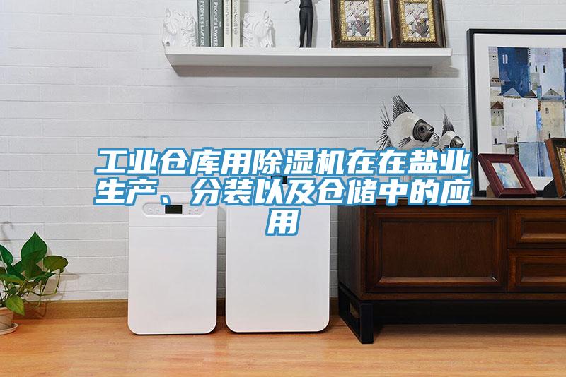 工業(yè)倉(cāng)庫(kù)用除濕機(jī)在在鹽業(yè)生產(chǎn)、分裝以及倉(cāng)儲(chǔ)中的應(yīng)用