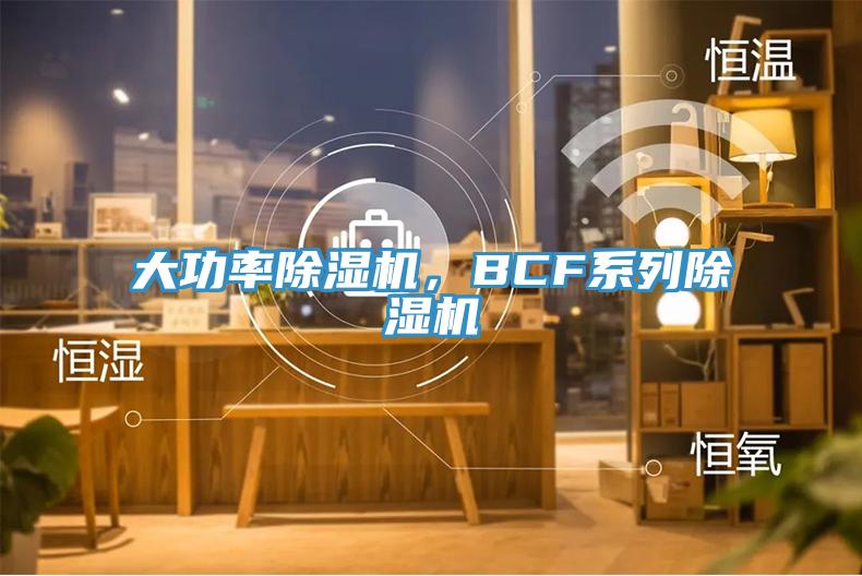 大功率除濕機，BCF系列除濕機
