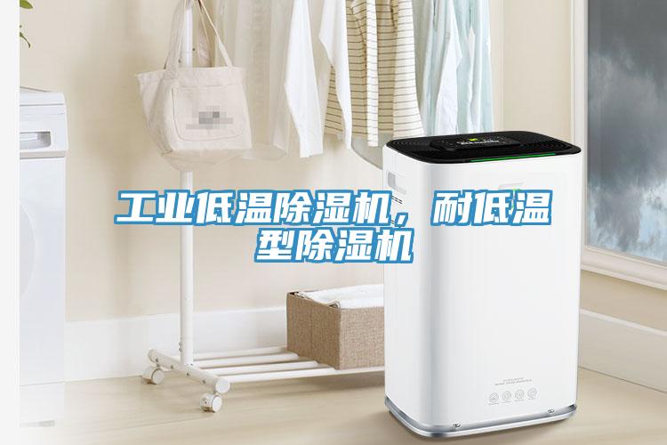 工業(yè)低溫除濕機(jī)，耐低溫型除濕機(jī)
