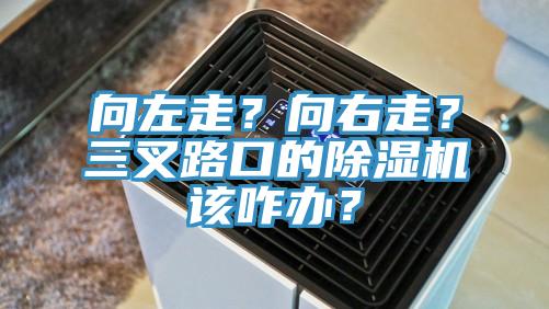 向左走？向右走？三叉路口的除濕機該咋辦？