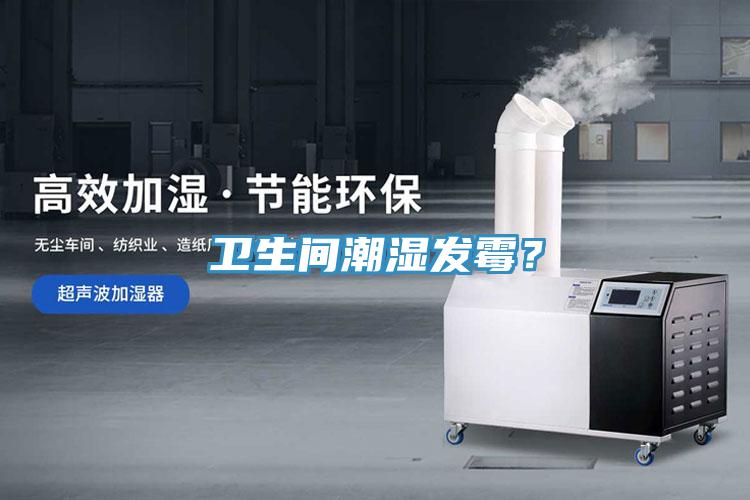 衛(wèi)生間潮濕發(fā)霉？