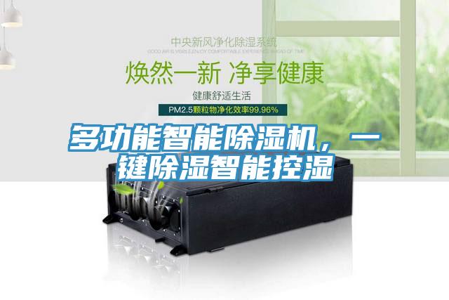 多功能智能除濕機，一鍵除濕智能控濕