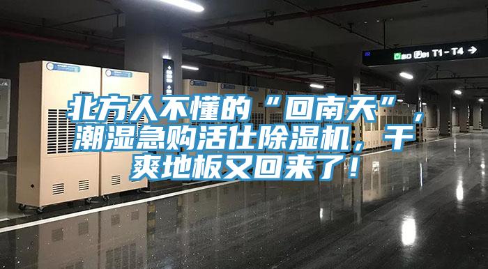 北方人不懂的“回南天”，潮濕急購活仕除濕機(jī)，干爽地板又回來了！