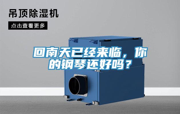 回南天已經(jīng)來臨，你的鋼琴還好嗎？
