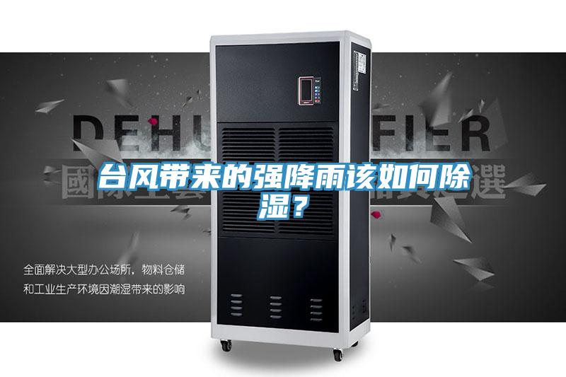 臺風帶來的強降雨該如何除濕？