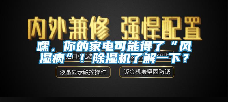 嘿，你的家電可能得了“風濕病”！除濕機了解一下？