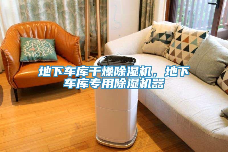 地下車(chē)庫(kù)干燥除濕機(jī)，地下車(chē)庫(kù)專(zhuān)用除濕機(jī)器
