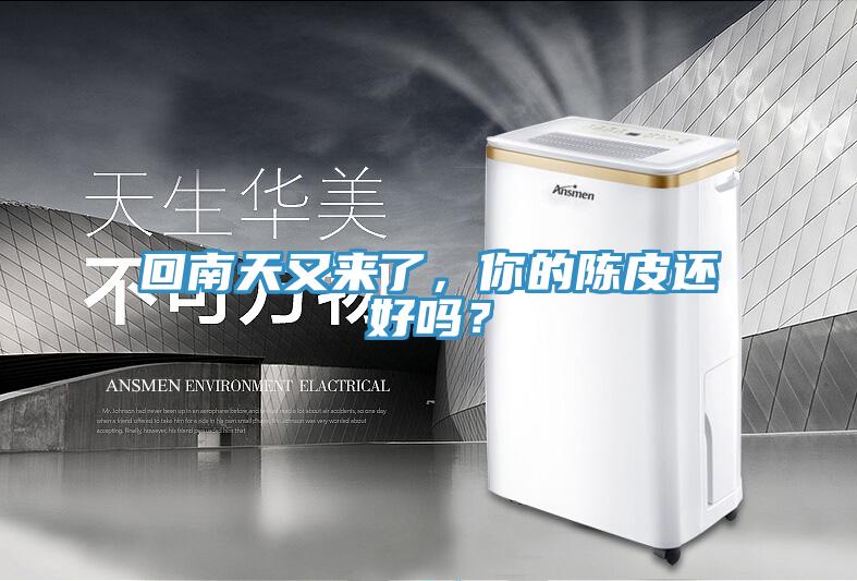 回南天又來了，你的陳皮還好嗎？