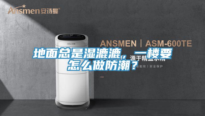 地面總是濕漉漉，一樓要怎么做防潮？