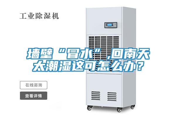 墻壁“冒水”,回南天太潮濕這可怎么辦？