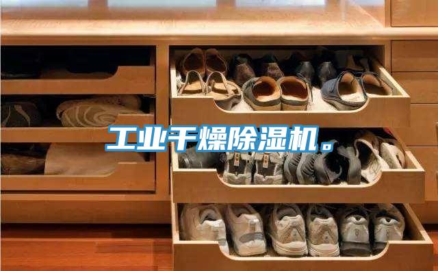 工業(yè)干燥除濕機(jī)。