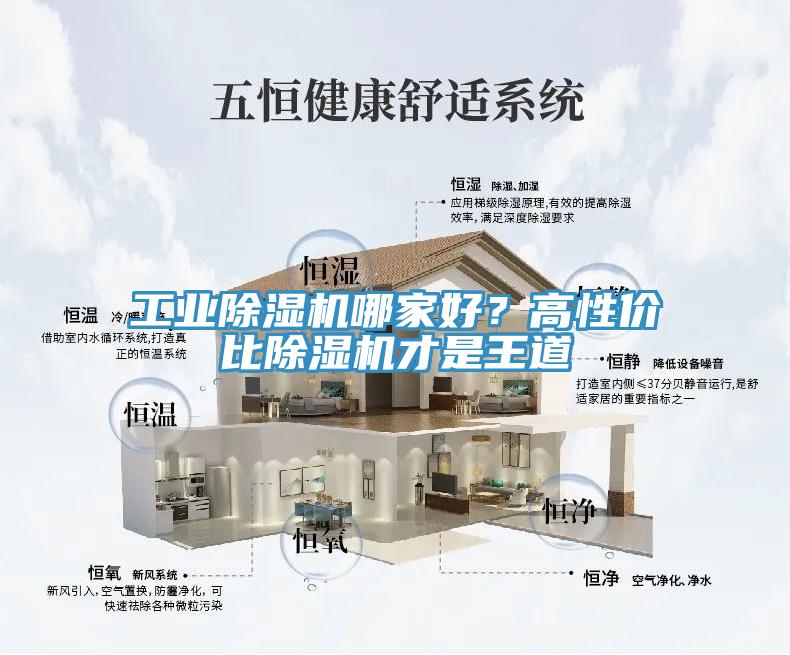 工業(yè)除濕機(jī)哪家好？高性價(jià)比除濕機(jī)才是王道