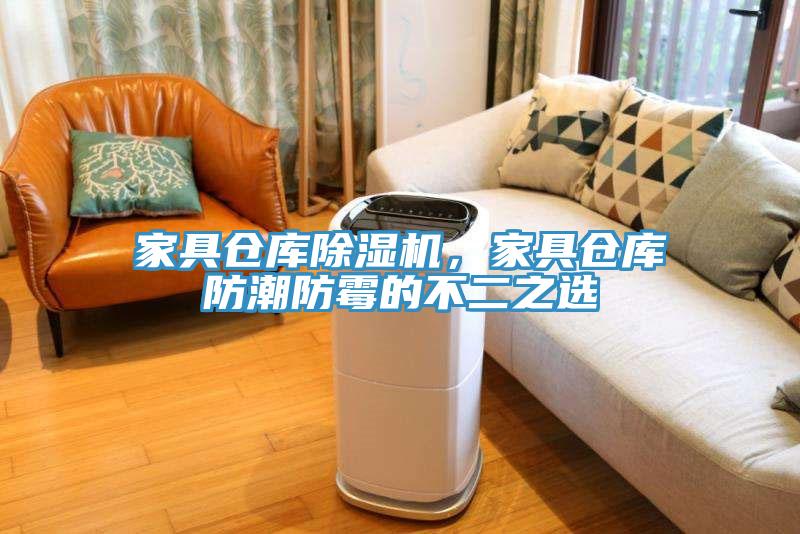 家具倉(cāng)庫(kù)除濕機(jī)，家具倉(cāng)庫(kù)防潮防霉的不二之選